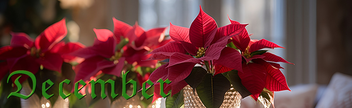 �����̃I�X�X��